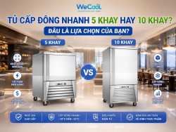 Tủ cấp đông nhanh 5 khay hay 10 khay? Chọn loại nào phù hợp với nhu cầu sử dụng?