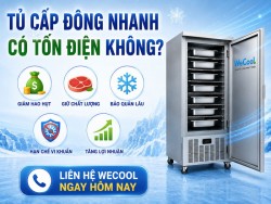 Tủ cấp đông nhanh có tốn điện không? Sự thật bạn nên biết
