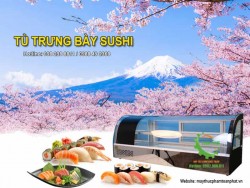 Những sai lầm hay mắc phải khi sử dụng tủ trưng bày Sushi